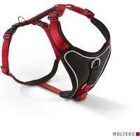 Rot