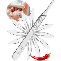 Kosmetex Rasierklingen 10x Hornhaut Fusspflege-Klingen 1x Griff, Kosmetex Podologie Swann Morton Skalpell-Klinge B23 zum sc