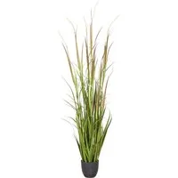 Kunstgras Grasbusch Cortaderia jubata, Creativ green, Höhe 150 cm, in toller Größe