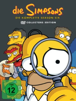 Die Simpsons - Die komplette Season 6 (Collector's Edition 4 DVDs)