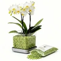 colomi Blumentopf ColomiCare Orchideentopf transparent + 1 L Orchideengranulat – Set (Spar-Set, 1x Orchideentopf 1x 1Liter Orchideengranulat)