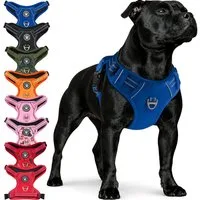 Reichstadt Hunde-Geschirr RS Pets Norwegergeschirr 25RSP083, Polyester, atmungsaktives Netzgewebe und robuster Oxford-Stoff