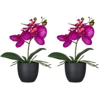 Kunstorchidee Orchidee Phalaenopsis, Creativ green, Höhe 23 cm, mit naturgetreuen Blüten