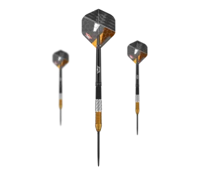 Bulls NL Dirk Van Duijvenbode 95% Convertible Points Steeldarts