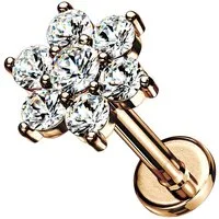 Taffstyle Piercing-Set Tragus Labret Ohr Stecker Piercing flach Zirkonia Blume Rosegold 6mm (Helix Rook Lobe Daith Conch Orbital Snug Ohrring Piercing), Helix Innengewinde Ohrstecker Ohrpiercing Cartilage Knorpel Ohr Tragus