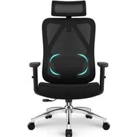 Lexzurn Bürostuhl Bürostuhl ergonomisch, Schreibtischstuhl 3D Memory-Schaum Lendenstütze (Wippfunktion bis 135°, Bis 200kg Belastar, Atmungsaktiv Mesh), Höhenverstellbarer Chefsessel Drehstuhl