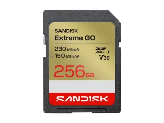 SanDisk Extreme Go | sdsdxgn-256g-gncin | Flash-Speicherkarte - 256