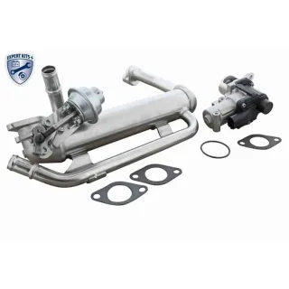 Vemo AGR-Ventil Audi Seat Skoda VW V10-63-0157