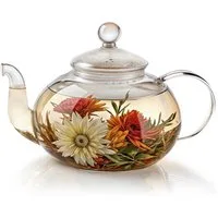 Dimono Teekanne DIMONO Mundgeblasene Teekanne mit Teefilter & Teesieb, 0.6 l, Glas-Kanne mit Filtereinsatz