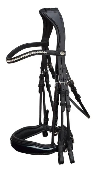 Kandarenzaum SP Venice Anatomic Line
