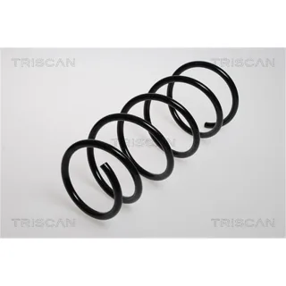 Triscan Feder vorne Nissan Kubistar Renault Kangoo 875025102