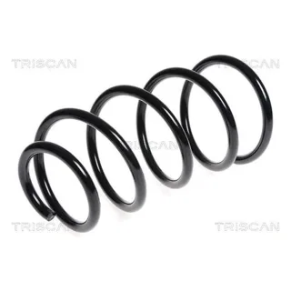 Triscan Feder vorne BMW 5er E60 87501199