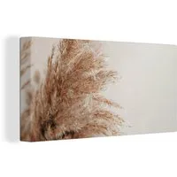 OneMillionCanvasses® Leinwandbild Panorama Gras - Pflanzen - Natur - Pampasgras, Fotodruck (1 St), Wandbild, Deko Schlafzimmer Wohnzimmer Flur 40x20 cm
