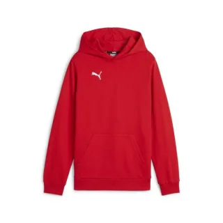 Puma teamGOAL Casuals Hoody Kinder 658619