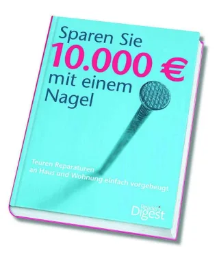 Sparen Sie 10.000  mit einem Nagel: Teuren Reparaturen an Haus und Wohnung einfach vorgebeugt