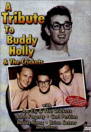 A Tribute to Buddy Holly & The Crickets [DVD] [2004]