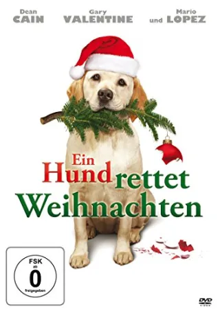 Ein Hund rettet Weihnachten [DVD] [2012]