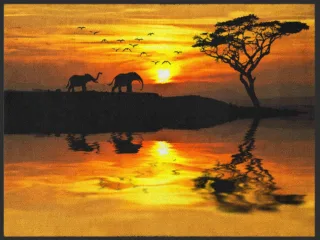 Fussmatte Afrika 4902 | Größe: 60 cm x 45 cm