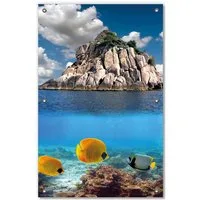 Wallario Sonnenschutz Exotische Fische im Meer, blickdicht, mit Saugnäpfen, wiederablösbar und wiederverwendbar