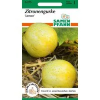 SAMEN PFANN Gemüsesamen Zitronengurke, Lemon - Gurken-Samen Saatgut Samen, Cucumis sativus, var. Lemon