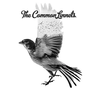 The Common Linnets [Audio CD] The Common Linnets