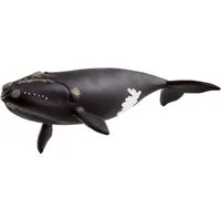 Schleich® Spielfigur WILD LIFE, Nordatlantischer Glattwal (14878)