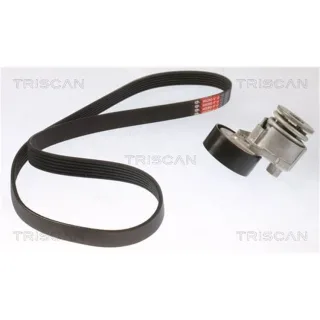 Triscan Keilrippenriemensatz Dacia Nissan Renault 864210030