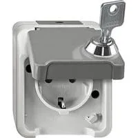 Schutzkontakt-Steckdose Schuko mit Klappdeckel, Aufputz, 16 Ampere, 250 Volt, IP44 hellgrau, Retail