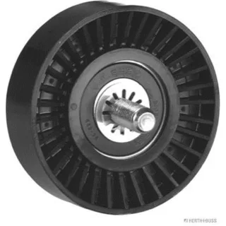 Jakoparts Umlenkrolle Hyundai Terracan Kia Carnival K2900 2,9 J1140335