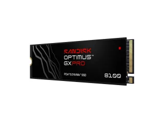 SanDisk Optimus GX PRO 8100 | sdsp82100tan-000e0 | SSD - verschlüsselt