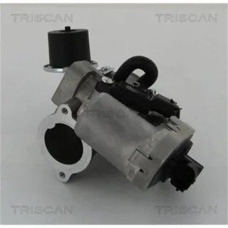 Triscan AGR-Ventil Ford Mondeo Jaguar X-Type