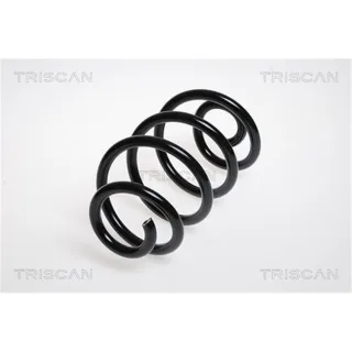 Triscan Feder hinten Renault Clio Modus