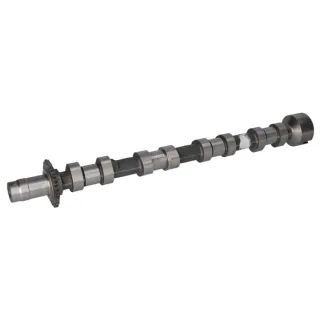 Febi Nockenwelle Citroen Peugeot 181655 2,0