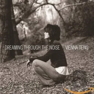 Dreaming Through the Noise