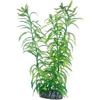 HOBBY Aquariendeko Heteranthera 25 cm - künstliche Aquariumpflanze
