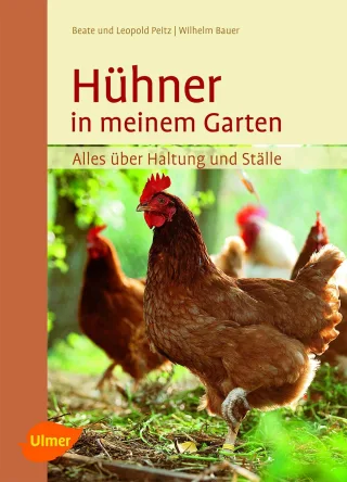 Hühner in meinem Garten: Alles über Haltung und Ställe