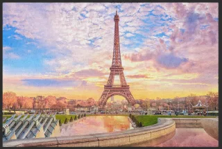 Fussmatte Paris 10267 | Größe: 60 cm x 45 cm