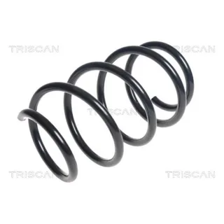 Triscan Feder vorne Renault Megane 3 875025121