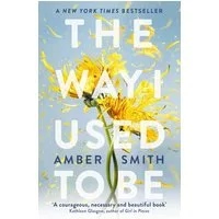 The Way I Used to Be / Amber Smith