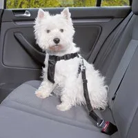 TRIXIE Autohundegeschirr Auto-Geschirr - schwarz - 20–50 cm/15 mm