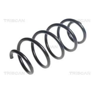 Triscan Feder vorne VW Passat B6