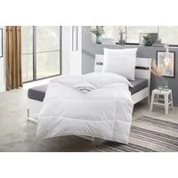 fan Microfaserbettdecke Komfort Plus, Bettdecke in 135x200 cm und weitere Größen erhältlich, Füllung: 100% Lyocell, Bezug: 100% Polyester, Made in Germany! Zu jeder Jahreszeit ideal für Schwitzer