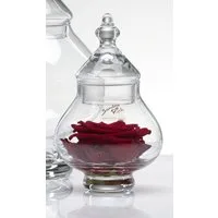 Sandra Rich Schale Glasschale Tin klar rund von Sandra Rich, Glas
