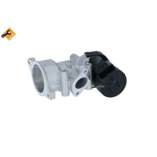 NRF AGR-Ventil Alfa Romeo Citroen Fiat Ford Lancia Peugeot