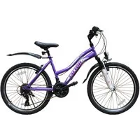 Talson Mountainbike 26 Zoll Fahrrad mit, 21 Gang Shimano, Kettenschaltung, mit Beleuchtung nach StVZO und Gabelfederung Lila