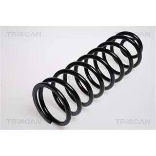 Triscan Feder hinten Volvo 140 164 240 260