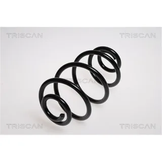 Triscan Feder hinten Opel Astra H 875024111