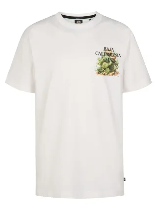 Petrol Industries - Boys T-Shirt SS Classic Print Bright White - Gr. - 140