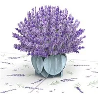 papercrush Geburtstagskarte Lavendel Pop-Up Karte
