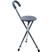 Ridder Gehstock Basic grau